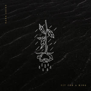 Cover art for Dark Skies