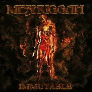 Cover art for Immutable